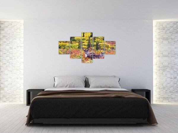 Obraz - Karibu na Aljašce (125x70 cm)