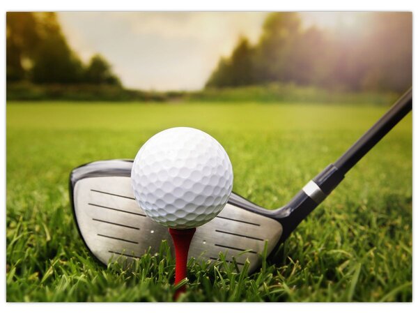 Obraz - Golf (70x50 cm)