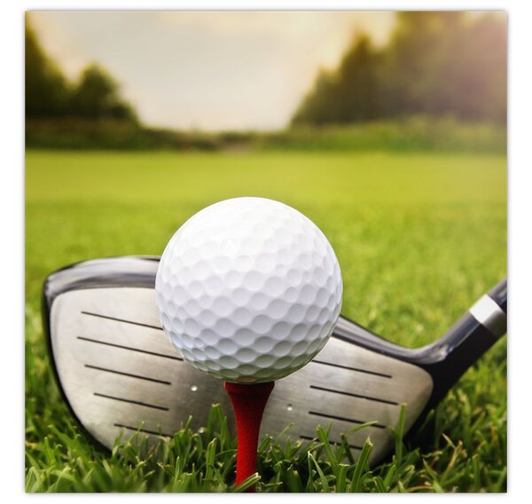 Obraz - Golf (30x30 cm)