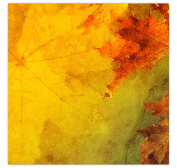 Obraz - Podzimní listy (30x30 cm)