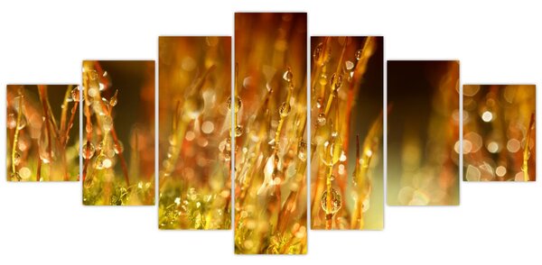 Obraz - Detail rosy (210x100 cm)
