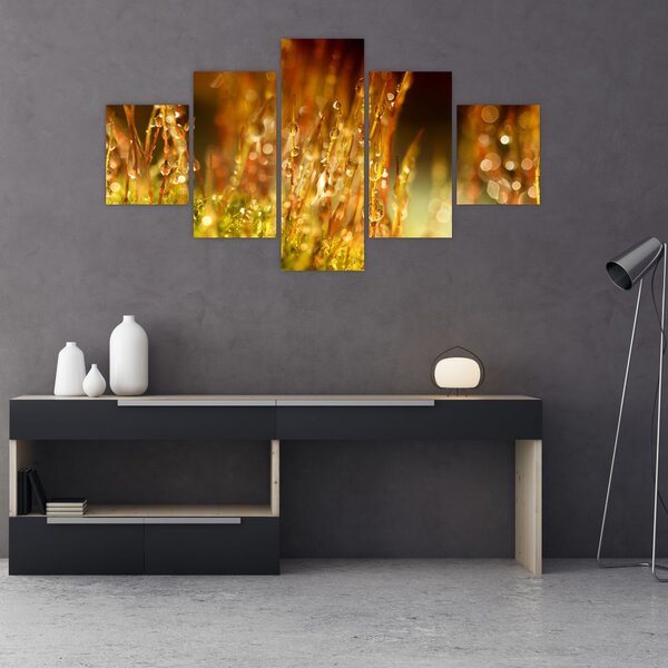 Obraz - Detail rosy (125x70 cm)