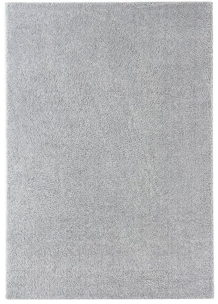 Breno Kusový koberec DOLCE VITA 01/SSS, 80x150 cm, Šedá