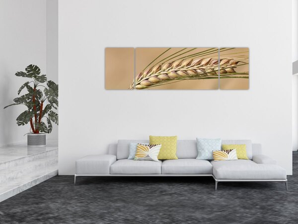 Obraz - Pšenice (170x50 cm)