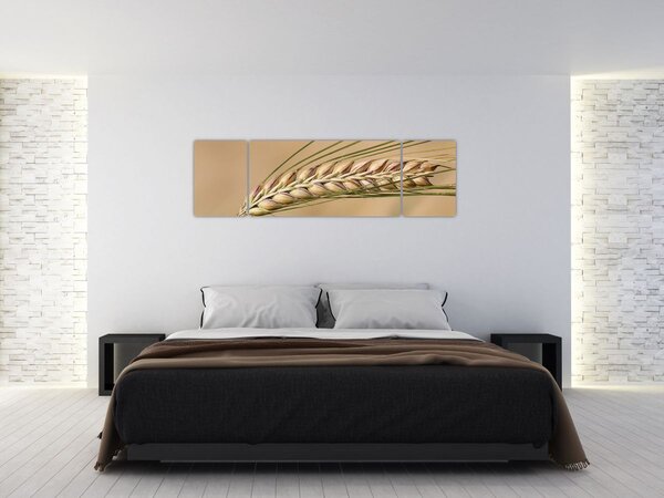 Obraz - Pšenice (170x50 cm)