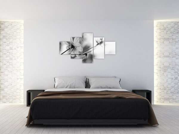 Obraz - Černobílé květiny (125x70 cm)