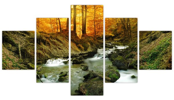 Obraz - Les (125x70 cm)