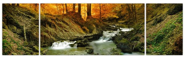 Obraz - Les (170x50 cm)