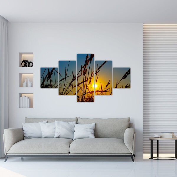 Obraz - Západ slunce v louce (125x70 cm)