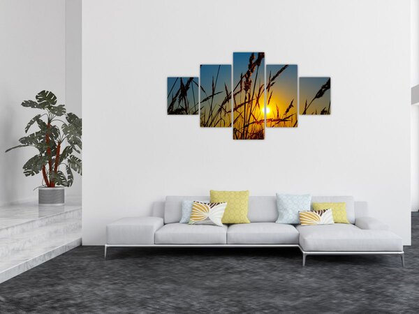Obraz - Západ slunce v louce (125x70 cm)