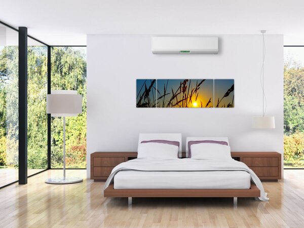 Obraz - Západ slunce v louce (170x50 cm)