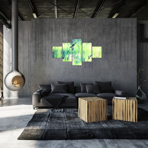 Obraz - Detail louky (125x70 cm)