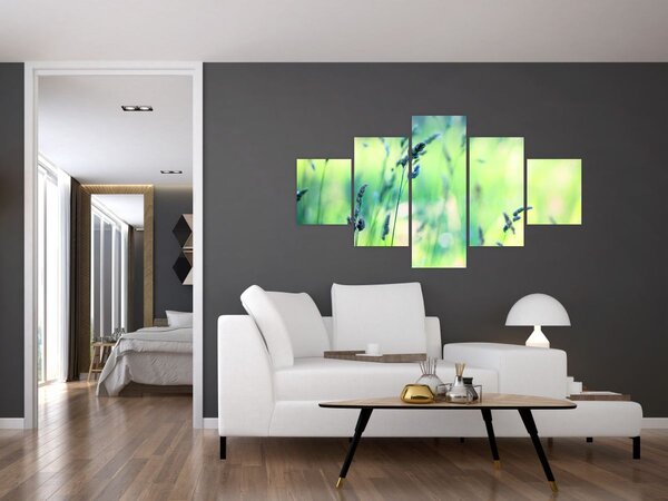 Obraz - Detail louky (125x70 cm)