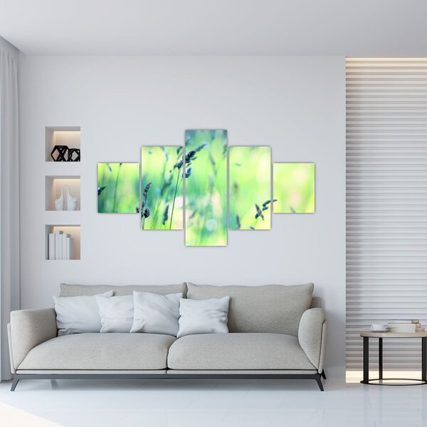 Obraz - Detail louky (125x70 cm)