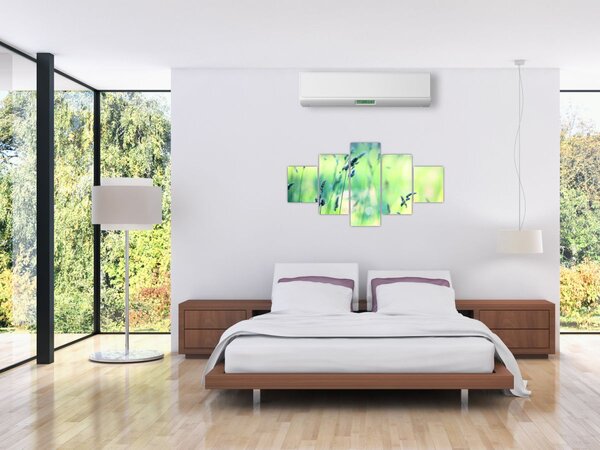 Obraz - Detail louky (125x70 cm)