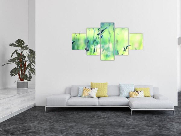 Obraz - Detail louky (125x70 cm)