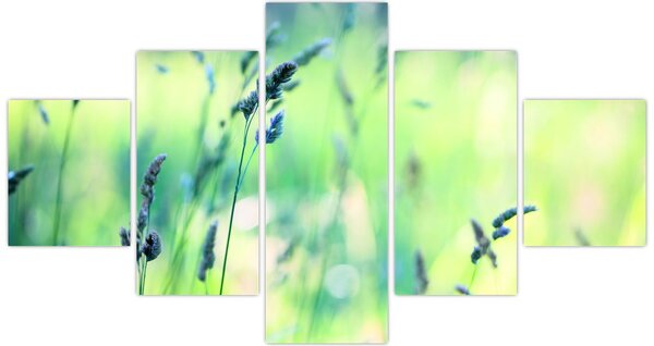 Obraz - Detail louky (125x70 cm)