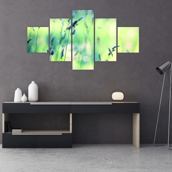 Obraz - Detail louky (125x70 cm)
