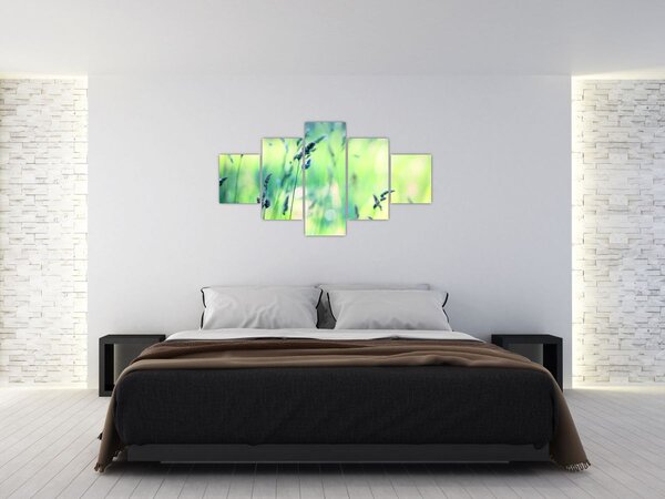 Obraz - Detail louky (125x70 cm)