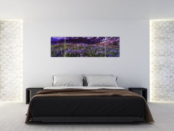 Obraz - Sopka a květiny (170x50 cm)