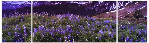 Obraz - Sopka a květiny (170x50 cm)