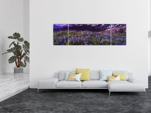 Obraz - Sopka a květiny (170x50 cm)