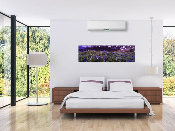 Obraz - Sopka a květiny (170x50 cm)