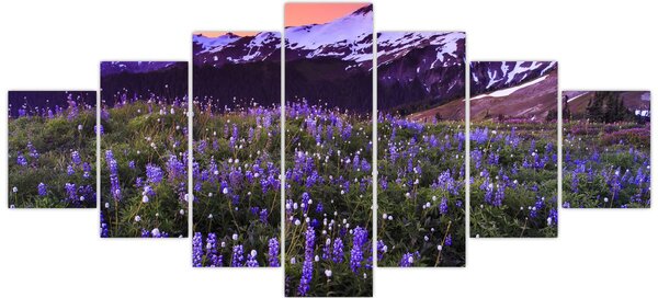Obraz - Sopka a květiny (210x100 cm)