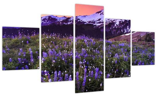 Obraz - Sopka a květiny (125x70 cm)