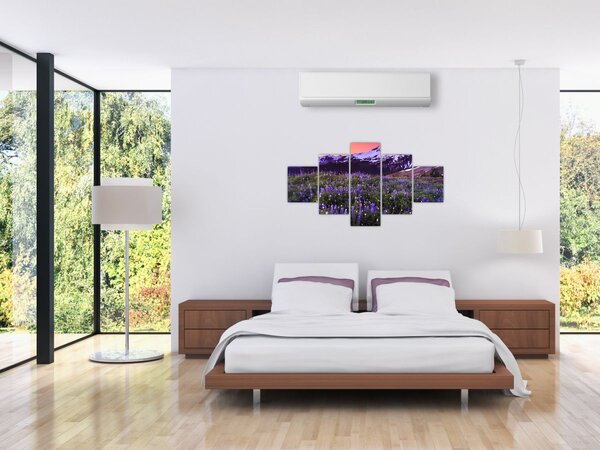 Obraz - Sopka a květiny (125x70 cm)