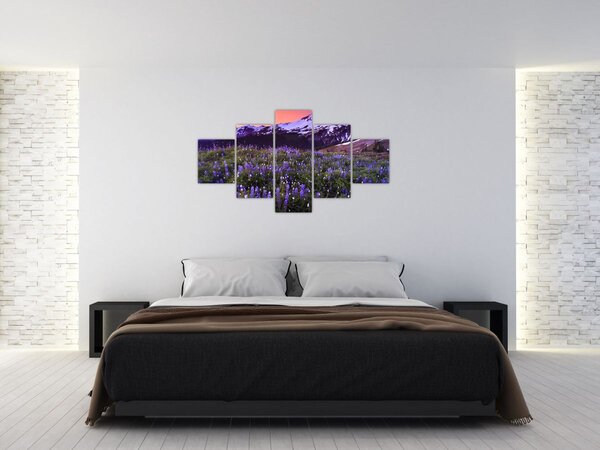 Obraz - Sopka a květiny (125x70 cm)