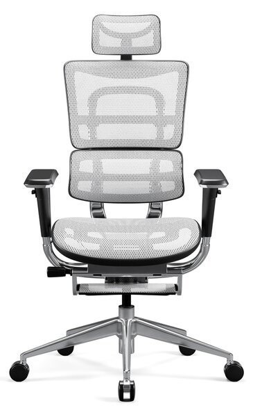 Ergonomické křeslo Diablo V-Master: černo bílá