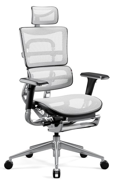 Ergonomické křeslo Diablo V-Master: černo bílá