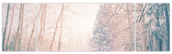 Obraz - Výhled do lesa (170x50 cm)