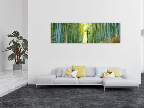 Obraz - Bambusový les (170x50 cm)