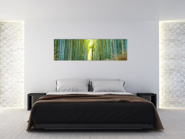Obraz - Bambusový les (170x50 cm)