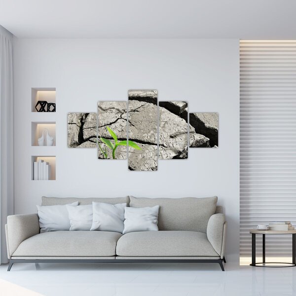 Obraz - Praskliny (125x70 cm)