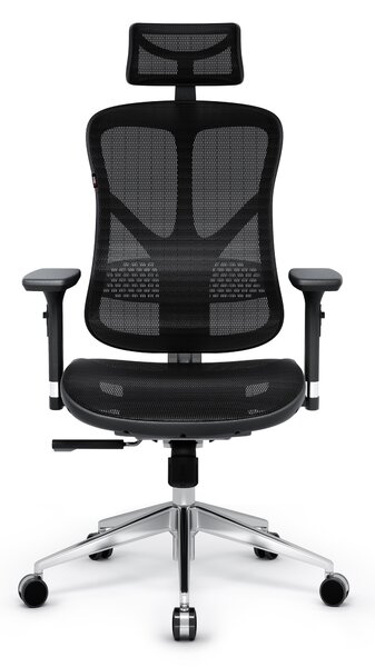 Ergonomická židle DIABLO V-BASIC: černá