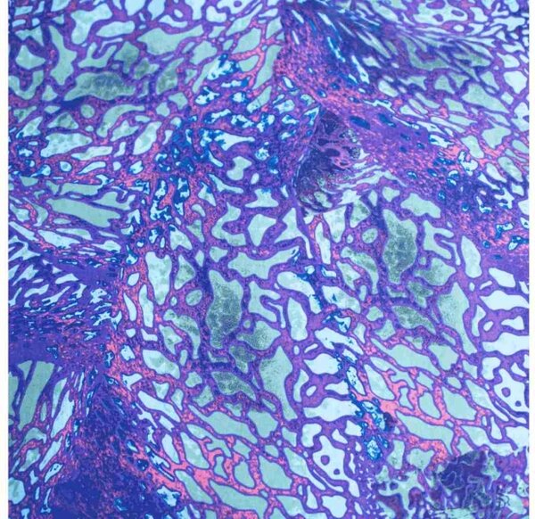 Jerry Fabrics Povlečení Jak vycvičit draka 140x200, 70x90 cm