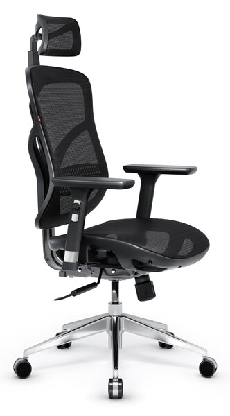 Ergonomická židle DIABLO V-BASIC: černá