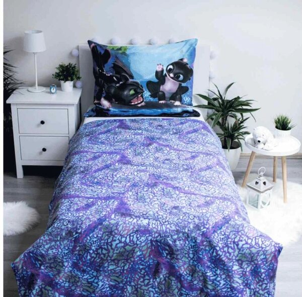 Jerry Fabrics Povlečení Jak vycvičit draka 140x200, 70x90 cm