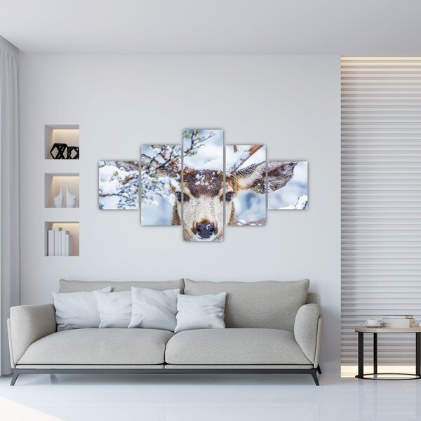 Obraz - Jelenec ušatý (125x70 cm)