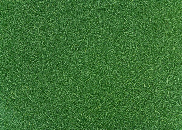 PVC podlaha Artifact Grass 025 imitace trávy