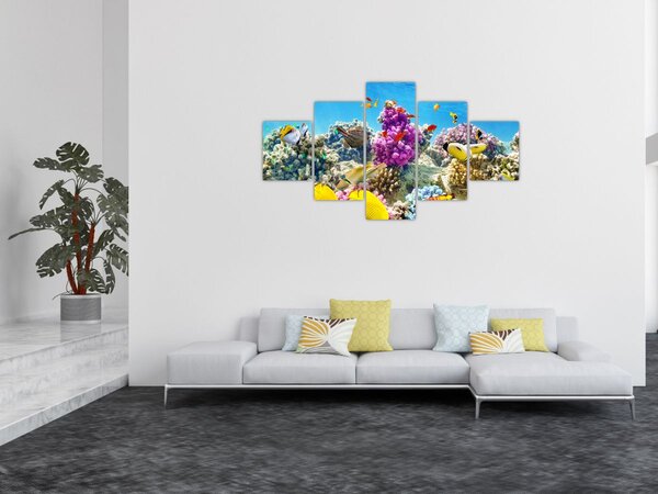 Obraz - Mořský svět (125x70 cm)