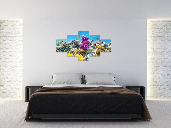 Obraz - Mořský svět (125x70 cm)