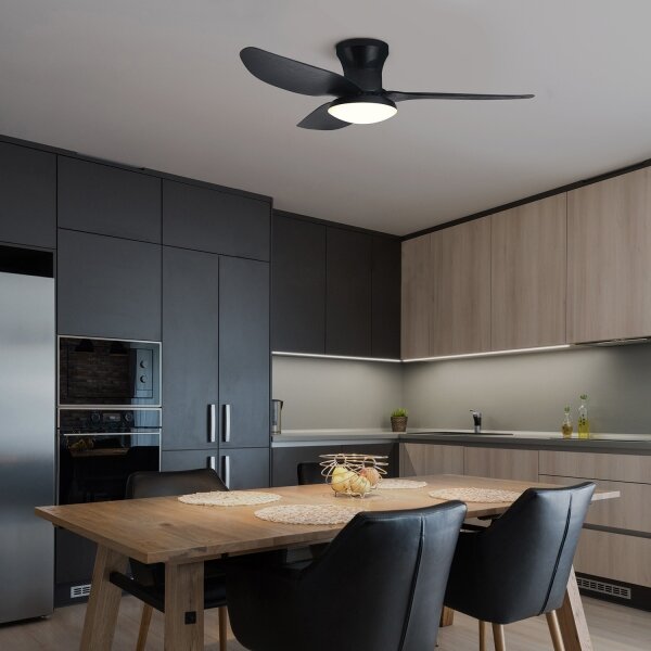 Brilagi - LED Stmívatelný stropní ventilátor LED/30W/230V 3000-6500K černá + DO