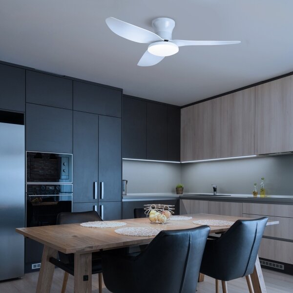 Brilagi - LED Stmívatelný stropní ventilátor LED/30W/230V 3000-6500K bílá + DO