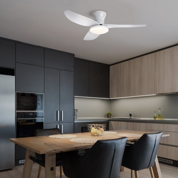 Brilagi - LED Stmívatelný stropní ventilátor LED/30W/230V 3000-6500K bílá + DO
