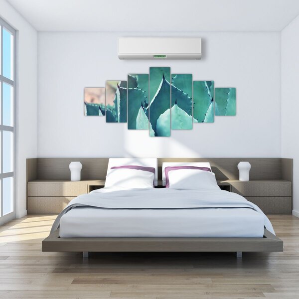 Obraz - Sukulent (210x100 cm)