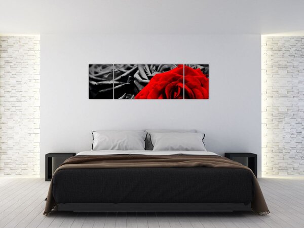 Obraz - Růže (170x50 cm)